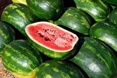 甜品吃瓜视频素材,跟随吃瓜视频探索甜品世界