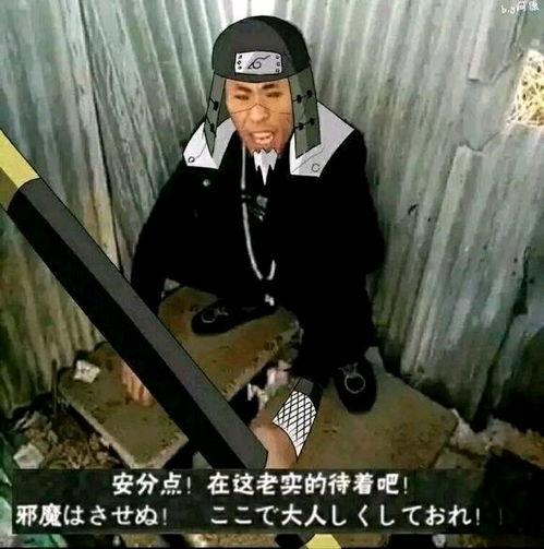 帝师吃瓜视频大全,揭秘娱乐圈幕后故事