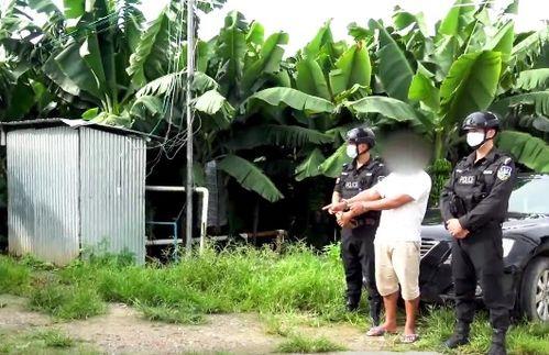 云南大学生李某吃瓜视频,校园生活新视角