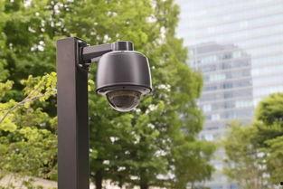 监控显示吃瓜视频,吃瓜群众围观的热门视频背后的故事