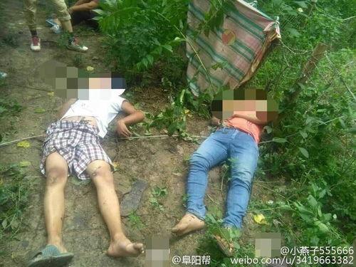 阜南吃瓜事件视频,一场引发热议的网络风波