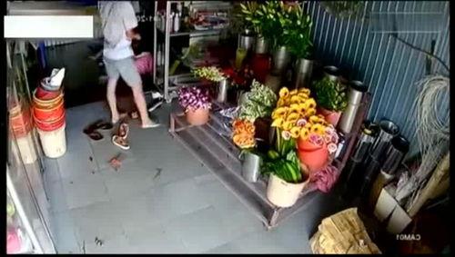 花店老板8分钟视频吃瓜,趣味横生！