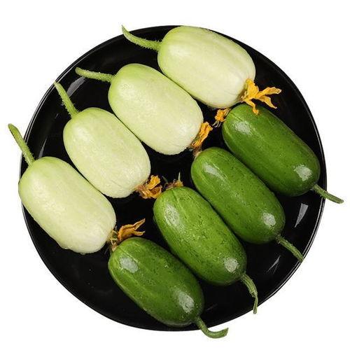 小包瓜怎么吃最好吃呢视频,小包瓜美味食法大揭秘