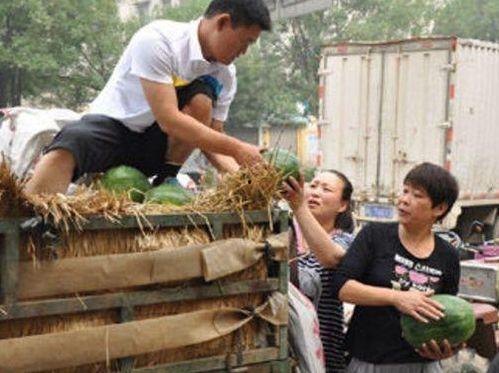 河北清苑县吃瓜事件视频,一场引发热议的网络视频风波