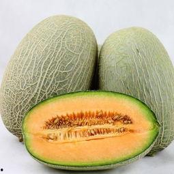 大妹吃哈密瓜图片大全视频,图片视频集锦