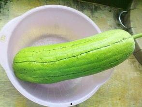 水瓜能怎么吃才好吃视频,这样烹饪让你欲罢不能