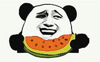 开朗网友吃瓜群众视频大全,开朗网友吃瓜群众视频大全，揭秘网络热点背后的故事